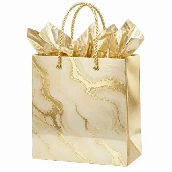 Paper gift bag — Hopa