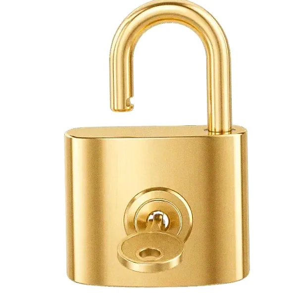 Open padlock — Hopa