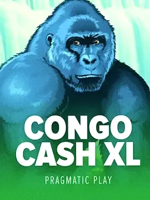 Congo Cash XL at Hopa