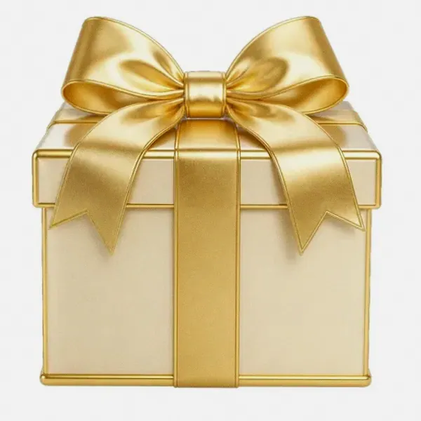 Wrapped gift box — Hopa